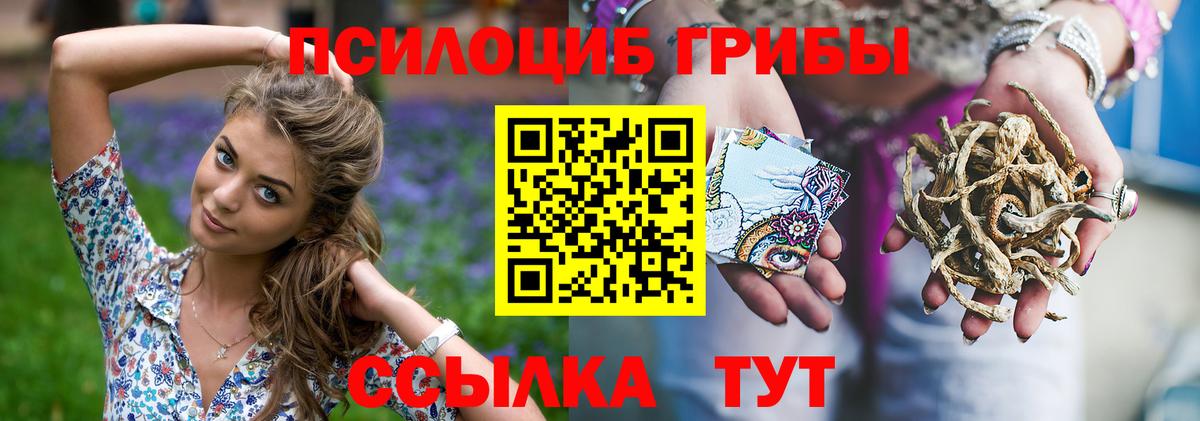 Псилоцибиновые грибы Cubensis  Псилоцибиновые грибы мухоморы  Вход с VPN  Астрахань 